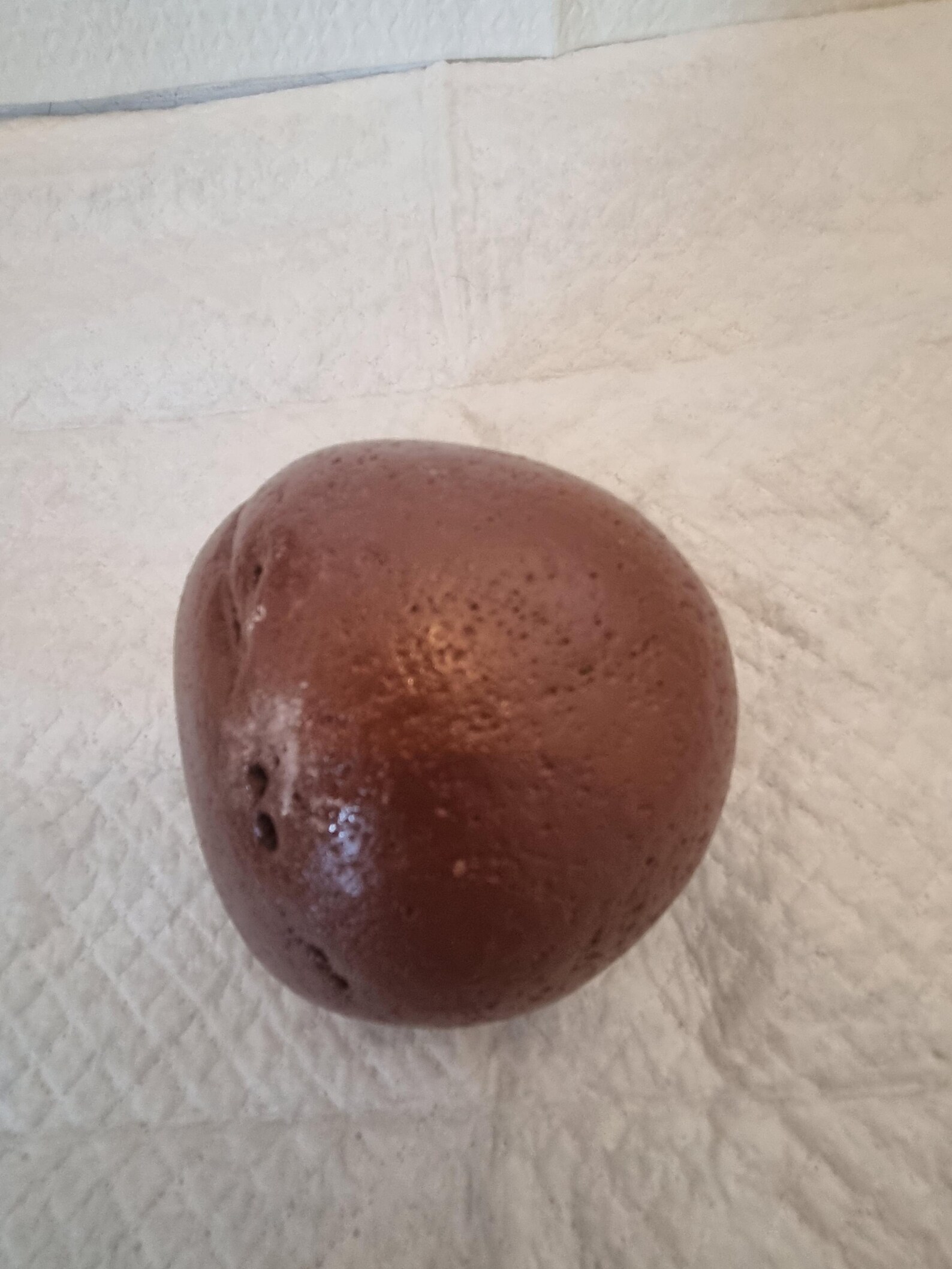 Back view of brown weighted doorstop